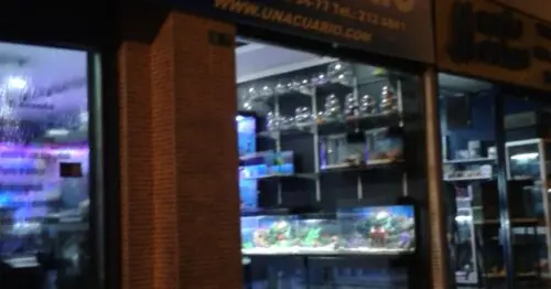 EL ACUARIO BOGOTÁ EL ACUARIO BOGOTÁ